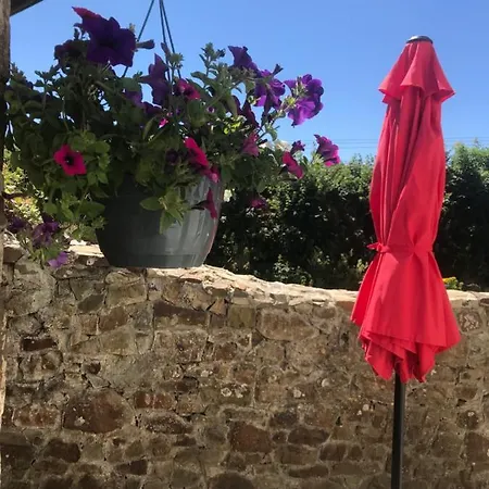 Boots Apartment Bude